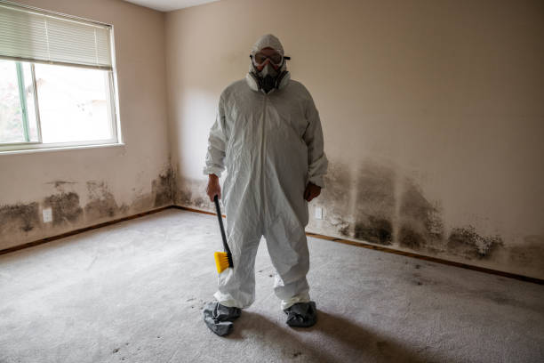 Professional Mold Remediation in Coldstream, KY